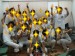 l_1024_768_43520631-0B1A-4442-BDBD-7190BEC2E36B.jpeg