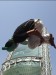 20120402-125824.jpg