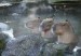 20120521-103153.jpg