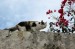 l_640_425_2510CB7F-D607-4409-86E2-AE14370EA05A.jpeg