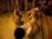 capoeira